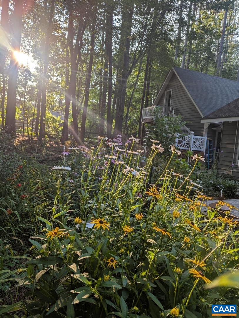 4220 PADDOCK CIR, EARLYSVILLE, Virginia 22936, 3 Bedrooms Bedrooms, ,2 BathroomsBathrooms,Residential,For sale,4220 PADDOCK CIR,671141 MLS # 671141 4220 PADDOCK CIR, EARLYSVILLE, Virginia 22936, 3 Bedrooms Bedrooms, ,2 BathroomsBathrooms,Residential,For sale,4220 PADDOCK CIR,671141 MLS # 671141