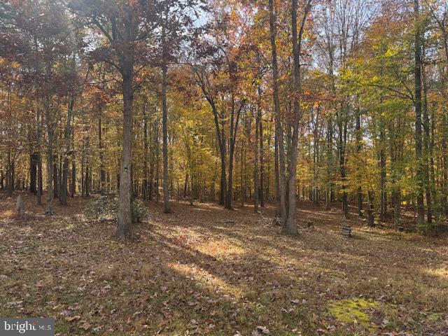 9306 RAPIDAN DR, FREDERICKSBURG, Virginia 22407, 3 Bedrooms Bedrooms, ,3 BathroomsBathrooms,Residential,For sale,9306 RAPIDAN DR,VASP2037624 MLS # VASP2037624 9306 RAPIDAN DR, FREDERICKSBURG, Virginia 22407, 3 Bedrooms Bedrooms, ,3 BathroomsBathrooms,Residential,For sale,9306 RAPIDAN DR,VASP2037624 MLS # VASP2037624