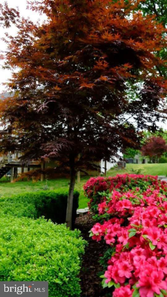 3618 CARLYLE CT, FREDERICKSBURG, Virginia 22408, 5 Bedrooms Bedrooms, ,3 BathroomsBathrooms,Residential,For sale,3618 CARLYLE CT,VASP2037358 MLS # VASP2037358 3618 CARLYLE CT, FREDERICKSBURG, Virginia 22408, 5 Bedrooms Bedrooms, ,3 BathroomsBathrooms,Residential,For sale,3618 CARLYLE CT,VASP2037358 MLS # VASP2037358