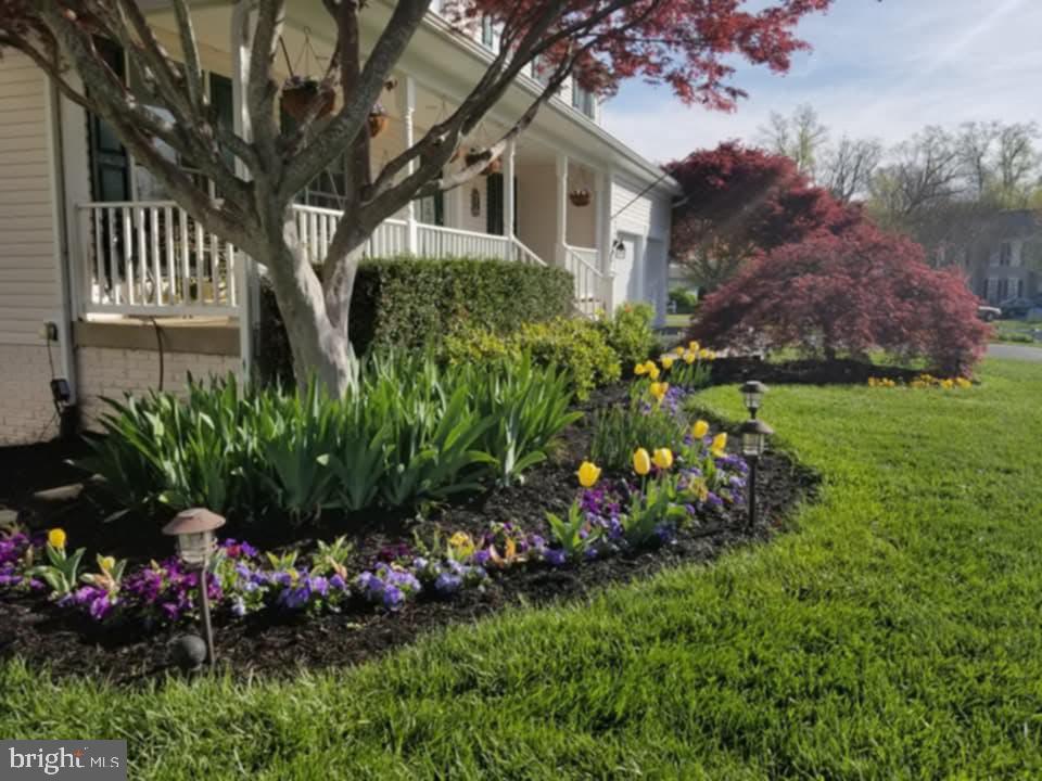 3618 CARLYLE CT, FREDERICKSBURG, Virginia 22408, 5 Bedrooms Bedrooms, ,3 BathroomsBathrooms,Residential,For sale,3618 CARLYLE CT,VASP2037358 MLS # VASP2037358 3618 CARLYLE CT, FREDERICKSBURG, Virginia 22408, 5 Bedrooms Bedrooms, ,3 BathroomsBathrooms,Residential,For sale,3618 CARLYLE CT,VASP2037358 MLS # VASP2037358