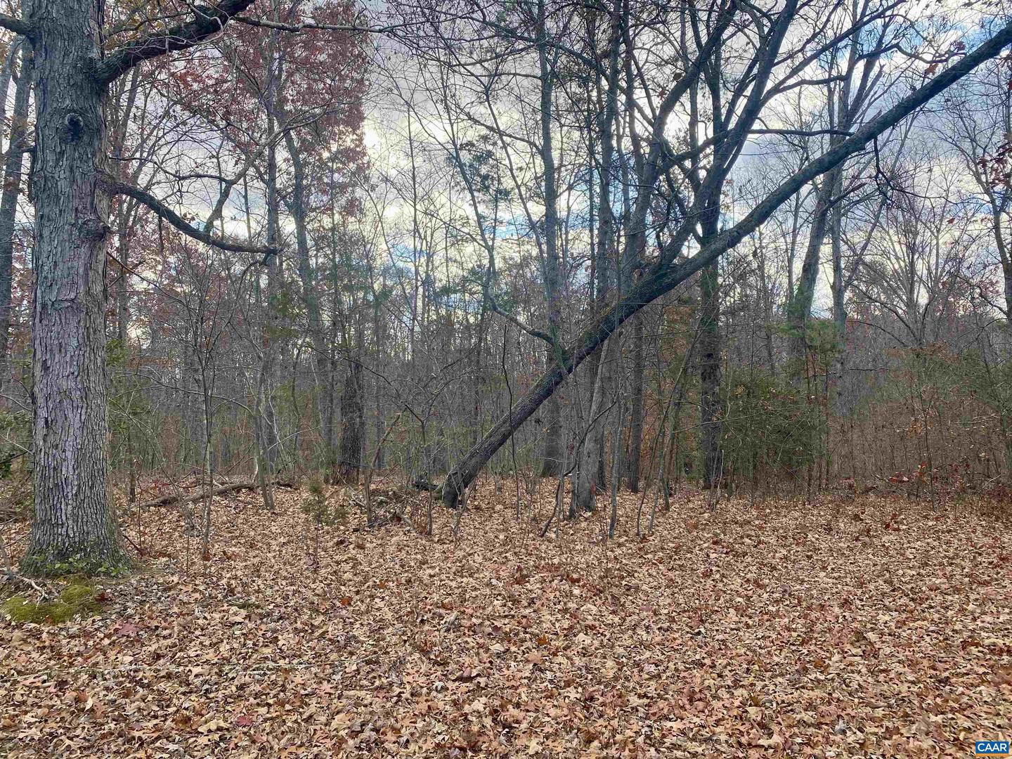 0 CHARLES LN, LOUISA, Virginia 23093, ,Land,For sale,0 CHARLES LN,671164 MLS # 671164 0 CHARLES LN, LOUISA, Virginia 23093, ,Land,For sale,0 CHARLES LN,671164 MLS # 671164