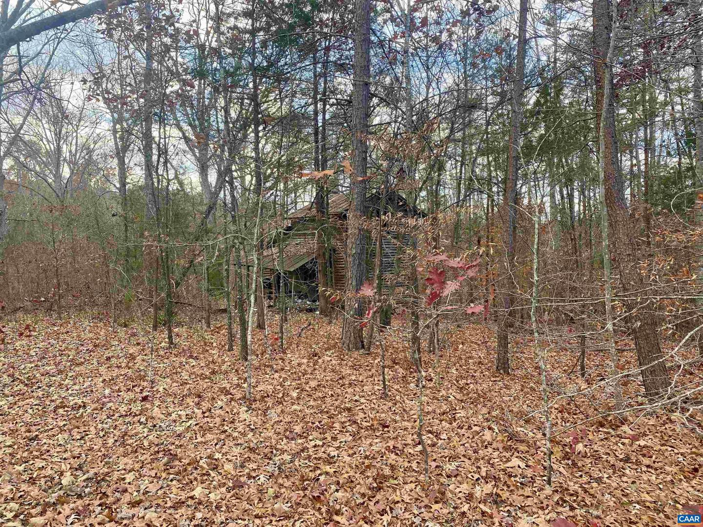 0 CHARLES LN, LOUISA, Virginia 23093, ,Land,For sale,0 CHARLES LN,671164 MLS # 671164 0 CHARLES LN, LOUISA, Virginia 23093, ,Land,For sale,0 CHARLES LN,671164 MLS # 671164