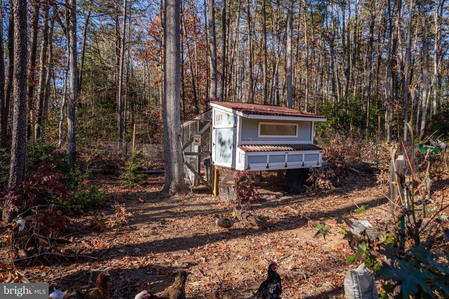 5902 TOWLES MILL RD, PARTLOW, Virginia 22534, 3 Bedrooms Bedrooms, ,3 BathroomsBathrooms,Residential,For sale,5902 TOWLES MILL RD,VASP2037496 MLS # VASP2037496