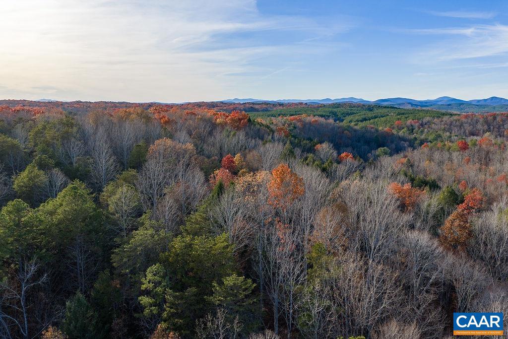 0 MANTEO RD, BUCKINGHAM, Virginia 23921, ,Farm,For sale,0 MANTEO RD,671169 MLS # 671169