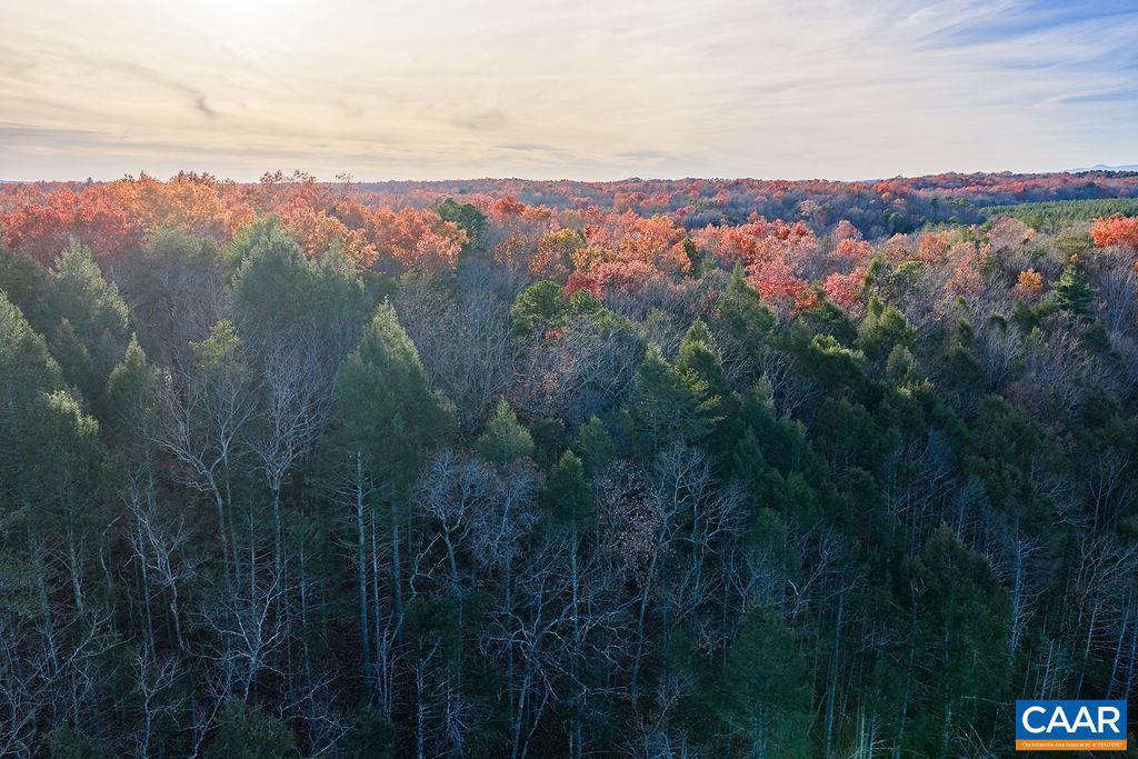 0 MANTEO RD, BUCKINGHAM, Virginia 23921, ,Farm,For sale,0 MANTEO RD,671169 MLS # 671169