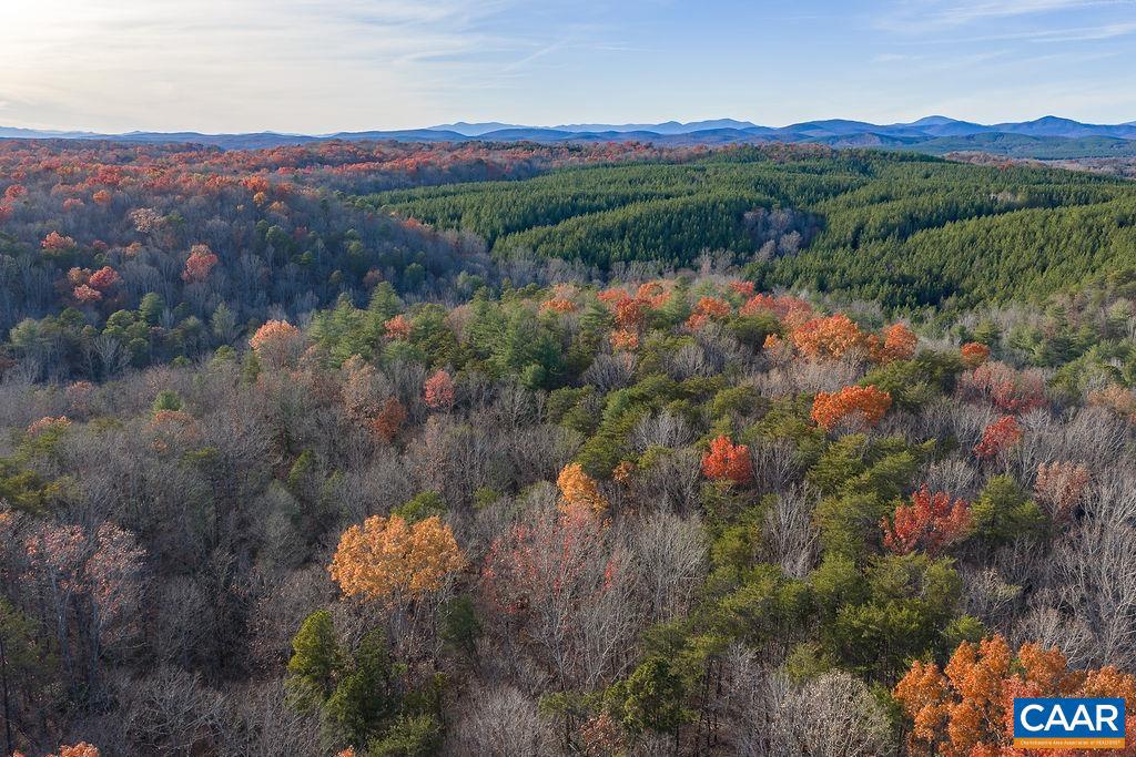 0 MANTEO RD, BUCKINGHAM, Virginia 23921, ,Farm,For sale,0 MANTEO RD,671169 MLS # 671169