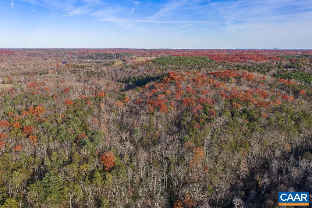 0 MANTEO RD, BUCKINGHAM, Virginia 23921, ,Farm,For sale,0 MANTEO RD,671169 MLS # 671169