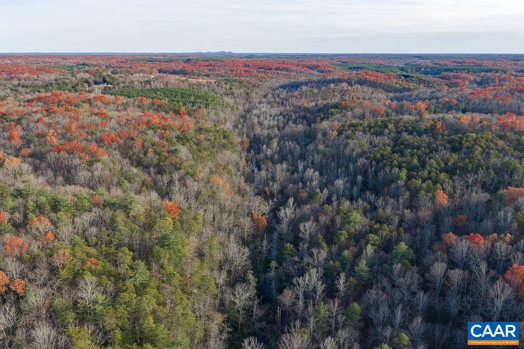 0 MANTEO RD, BUCKINGHAM, Virginia 23921, ,Farm,For sale,0 MANTEO RD,671169 MLS # 671169