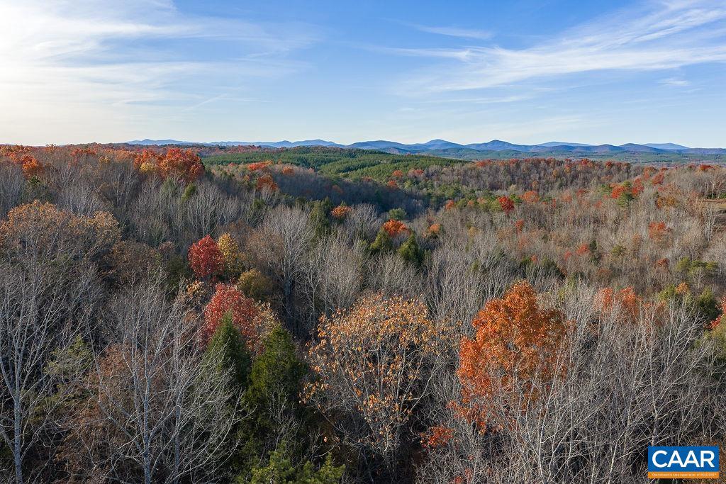 0 MANTEO RD, BUCKINGHAM, Virginia 23921, ,Farm,For sale,0 MANTEO RD,671169 MLS # 671169