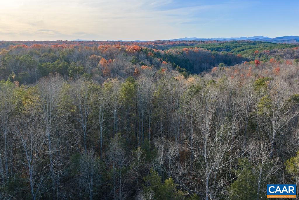 0 MANTEO RD, BUCKINGHAM, Virginia 23921, ,Farm,For sale,0 MANTEO RD,671169 MLS # 671169