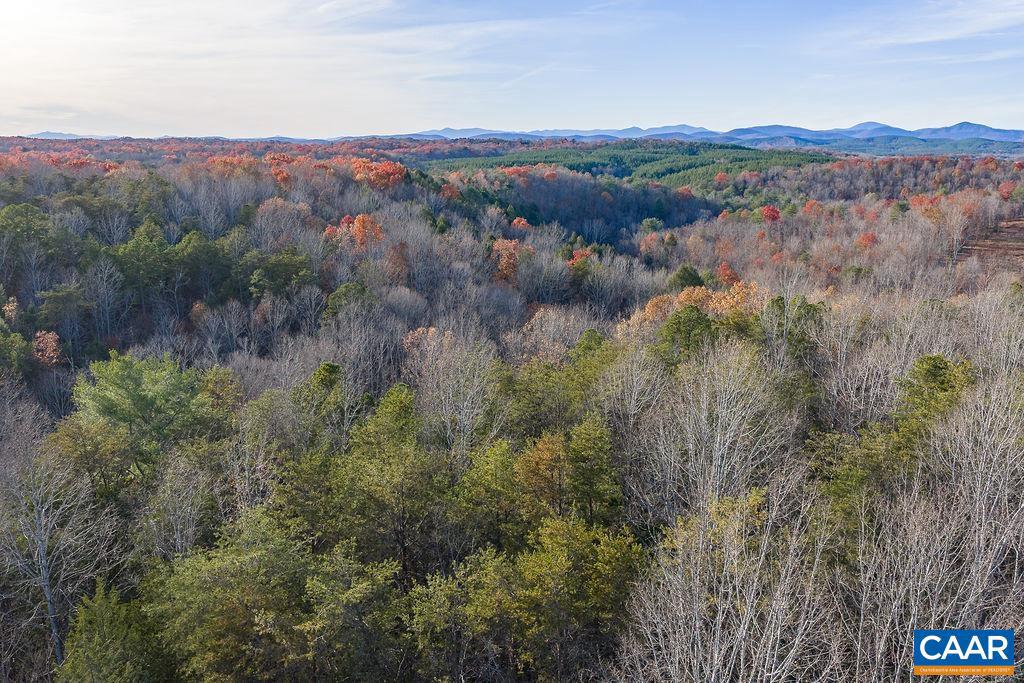 0 MANTEO RD, BUCKINGHAM, Virginia 23921, ,Farm,For sale,0 MANTEO RD,671169 MLS # 671169