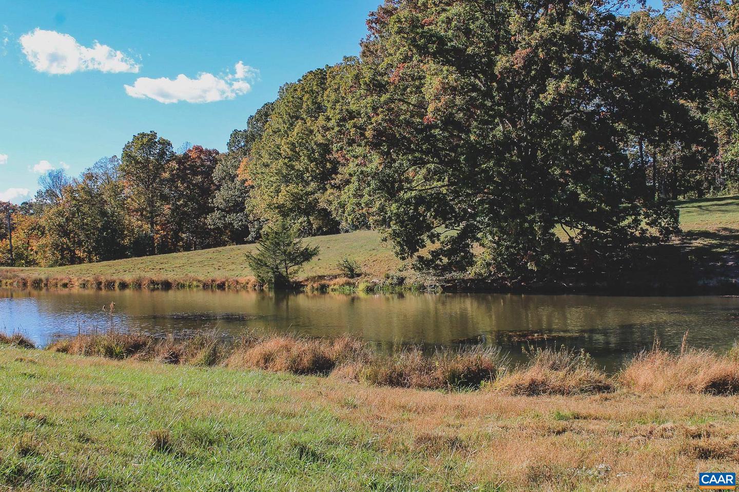 LOT 21 ROLLING RD S, SCOTTSVILLE, Virginia 24590, ,Land,For sale,LOT 21 ROLLING RD S,671173 MLS # 671173 LOT 21 ROLLING RD S, SCOTTSVILLE, Virginia 24590, ,Land,For sale,LOT 21 ROLLING RD S,671173 MLS # 671173