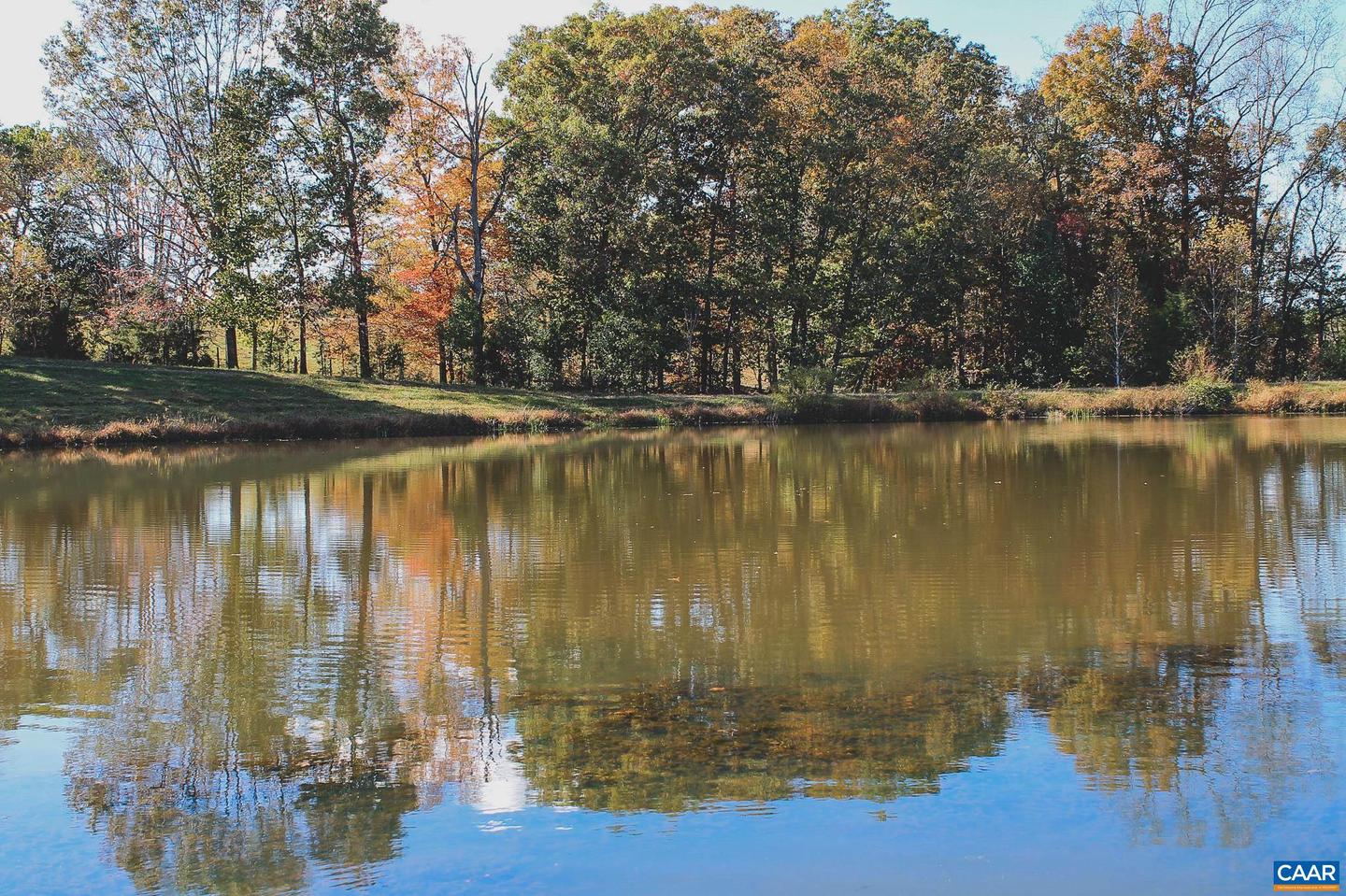 LOT 21 ROLLING RD S, SCOTTSVILLE, Virginia 24590, ,Land,For sale,LOT 21 ROLLING RD S,671173 MLS # 671173 LOT 21 ROLLING RD S, SCOTTSVILLE, Virginia 24590, ,Land,For sale,LOT 21 ROLLING RD S,671173 MLS # 671173