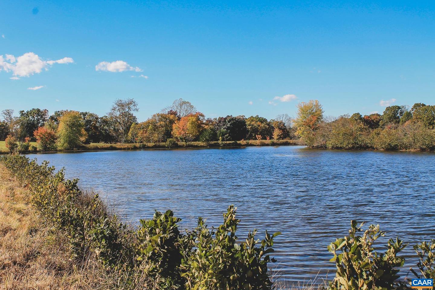 LOT 20 ROLLING RD S, SCOTTSVILLE, Virginia 24590, ,Land,For sale,LOT 20 ROLLING RD S,671175 MLS # 671175 LOT 20 ROLLING RD S, SCOTTSVILLE, Virginia 24590, ,Land,For sale,LOT 20 ROLLING RD S,671175 MLS # 671175