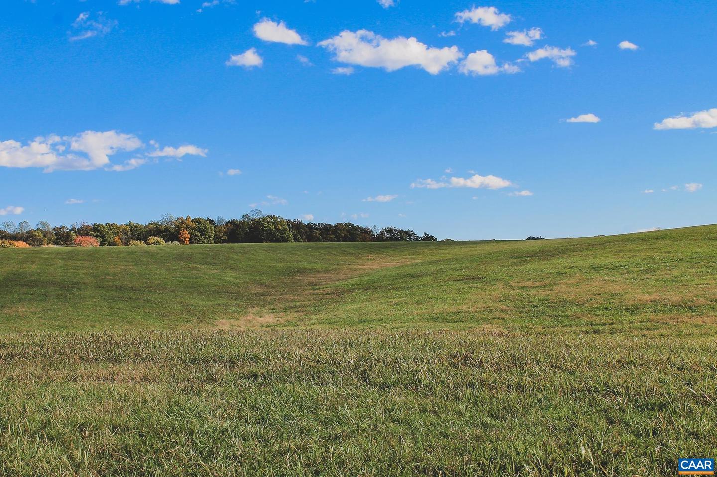 LOT 20 ROLLING RD S, SCOTTSVILLE, Virginia 24590, ,Land,For sale,LOT 20 ROLLING RD S,671175 MLS # 671175 LOT 20 ROLLING RD S, SCOTTSVILLE, Virginia 24590, ,Land,For sale,LOT 20 ROLLING RD S,671175 MLS # 671175