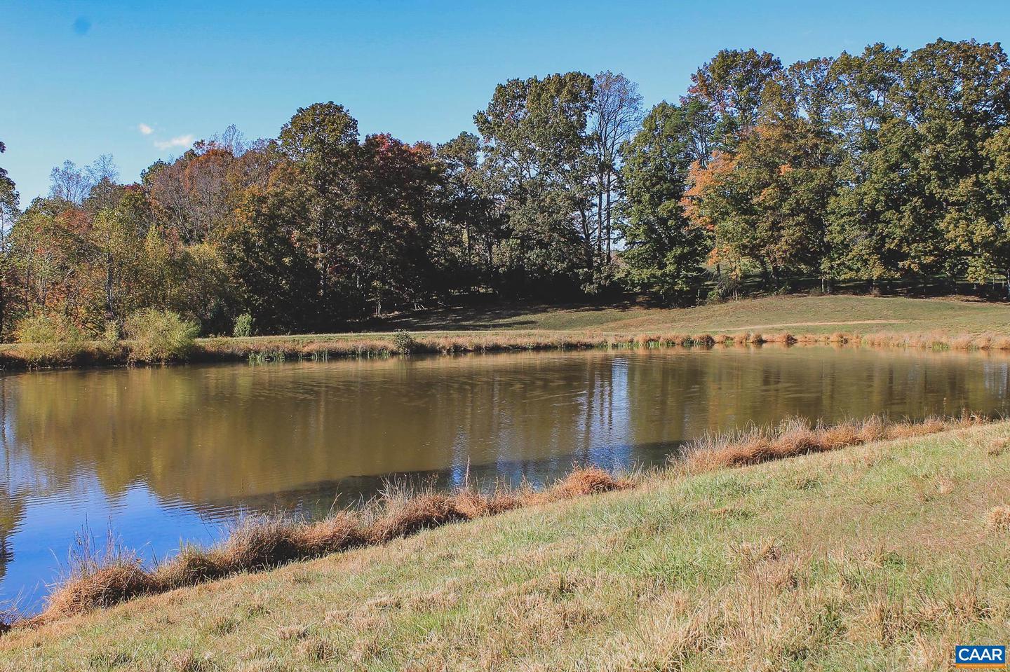 LOT 20 ROLLING RD S, SCOTTSVILLE, Virginia 24590, ,Land,For sale,LOT 20 ROLLING RD S,671175 MLS # 671175 LOT 20 ROLLING RD S, SCOTTSVILLE, Virginia 24590, ,Land,For sale,LOT 20 ROLLING RD S,671175 MLS # 671175