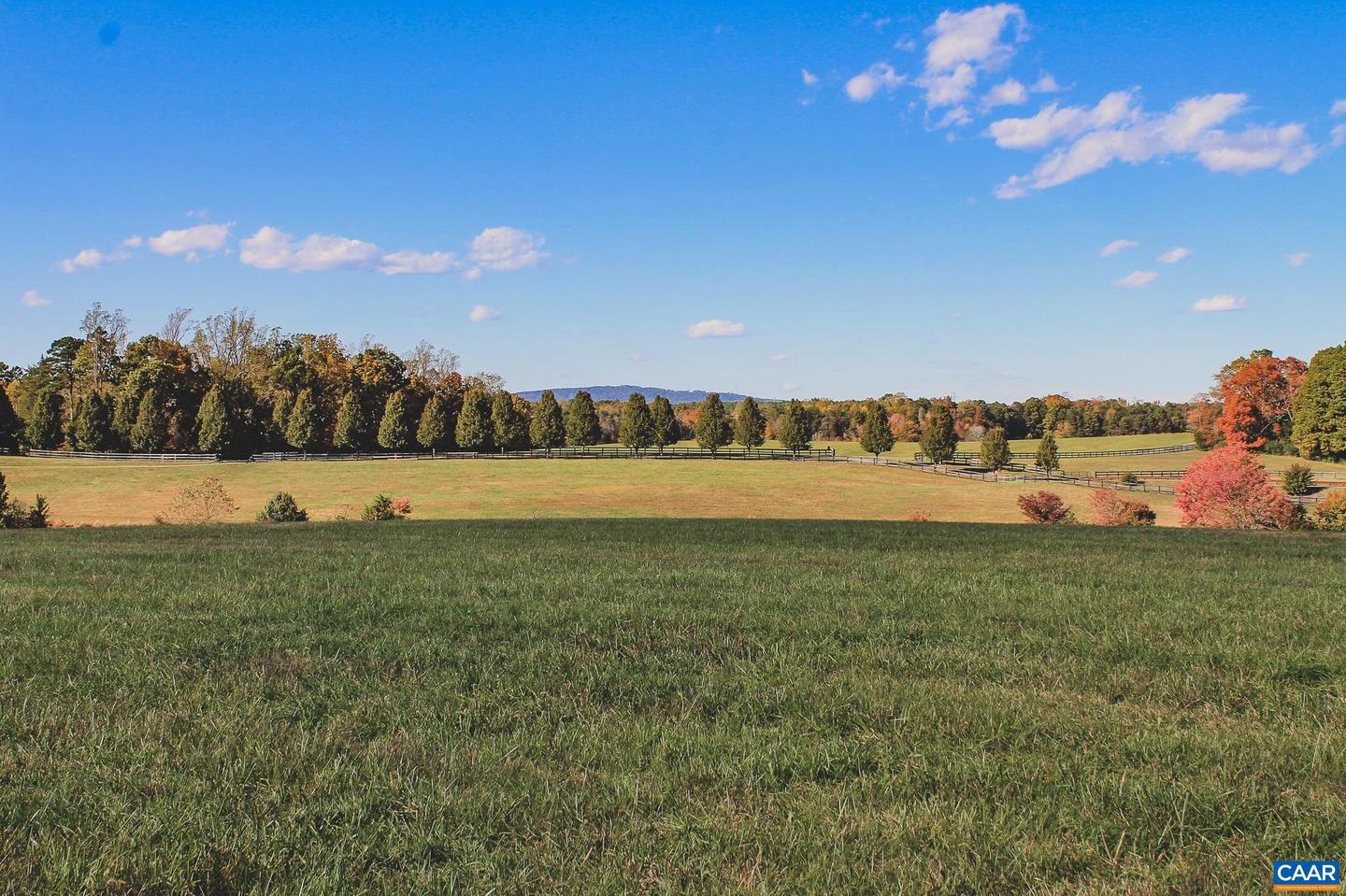 LOT 20 ROLLING RD S, SCOTTSVILLE, Virginia 24590, ,Land,For sale,LOT 20 ROLLING RD S,671175 MLS # 671175 LOT 20 ROLLING RD S, SCOTTSVILLE, Virginia 24590, ,Land,For sale,LOT 20 ROLLING RD S,671175 MLS # 671175