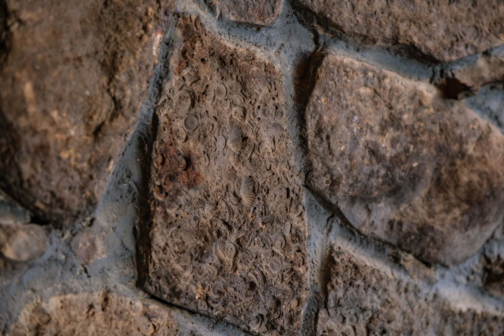 11103 TURLEYTOWN RD, LINVILLE, Virginia 22834, 3 Bedrooms Bedrooms, ,1 BathroomBathrooms,Residential,11103 TURLEYTOWN RD,671174 MLS # 671174 11103 TURLEYTOWN RD, LINVILLE, Virginia 22834, 3 Bedrooms Bedrooms, ,1 BathroomBathrooms,Residential,11103 TURLEYTOWN RD,671174 MLS # 671174