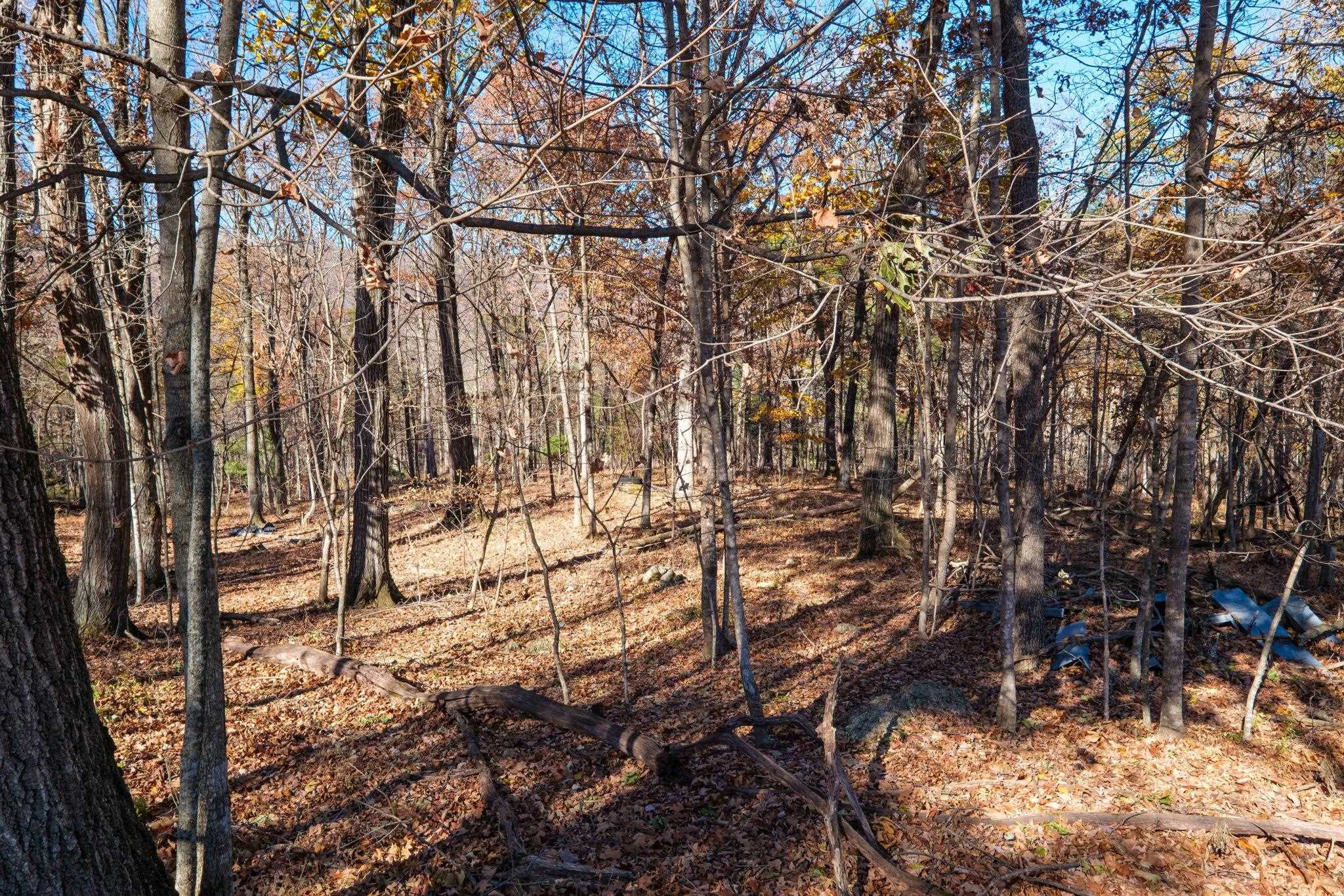 11103 TURLEYTOWN RD, LINVILLE, Virginia 22834, 3 Bedrooms Bedrooms, ,1 BathroomBathrooms,Residential,11103 TURLEYTOWN RD,671174 MLS # 671174 11103 TURLEYTOWN RD, LINVILLE, Virginia 22834, 3 Bedrooms Bedrooms, ,1 BathroomBathrooms,Residential,11103 TURLEYTOWN RD,671174 MLS # 671174