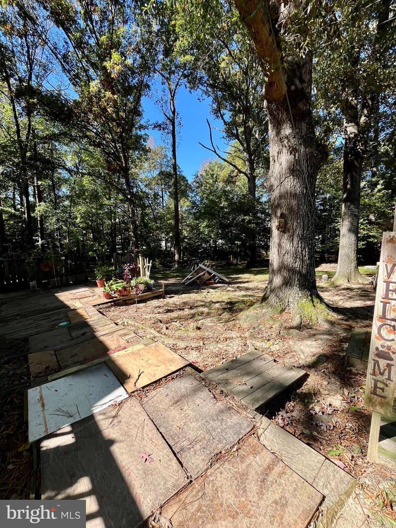 4302 BAXTER RD, PRINCE GEORGE, Virginia 23875, 4 Bedrooms Bedrooms, ,2 BathroomsBathrooms,Residential,For sale,4302 BAXTER RD,VAPV2000096 MLS # VAPV2000096 4302 BAXTER RD, PRINCE GEORGE, Virginia 23875, 4 Bedrooms Bedrooms, ,2 BathroomsBathrooms,Residential,For sale,4302 BAXTER RD,VAPV2000096 MLS # VAPV2000096