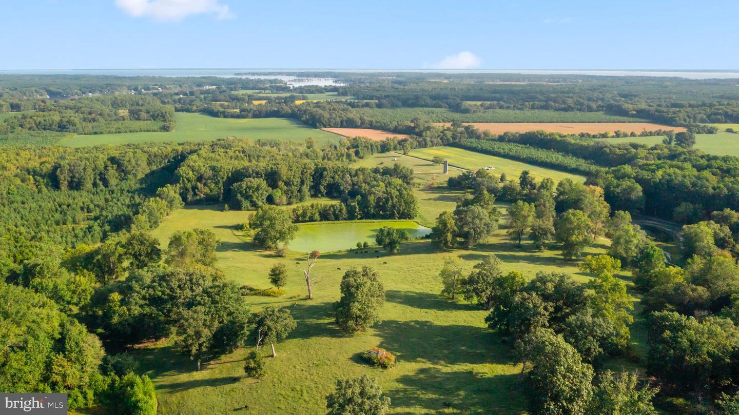 0 MOUNT PLEASANT, HAGUE, Virginia 22469, ,Farm,For sale,0 MOUNT PLEASANT,VAWE2005130 MLS # VAWE2005130