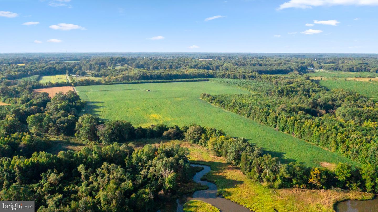 0 MOUNT PLEASANT, HAGUE, Virginia 22469, ,Farm,For sale,0 MOUNT PLEASANT,VAWE2005130 MLS # VAWE2005130