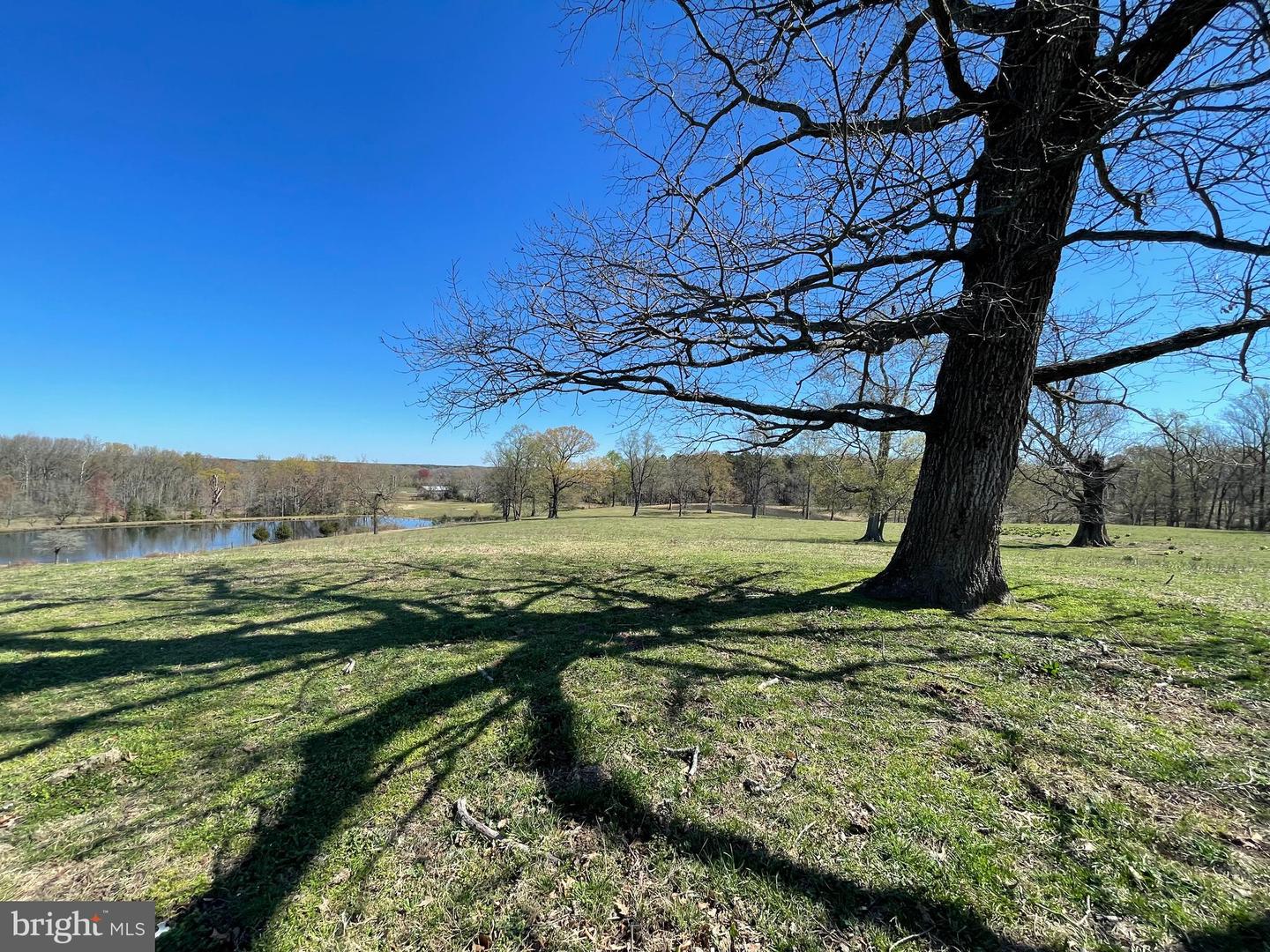 0 MOUNT PLEASANT, HAGUE, Virginia 22469, ,Farm,For sale,0 MOUNT PLEASANT,VAWE2005130 MLS # VAWE2005130