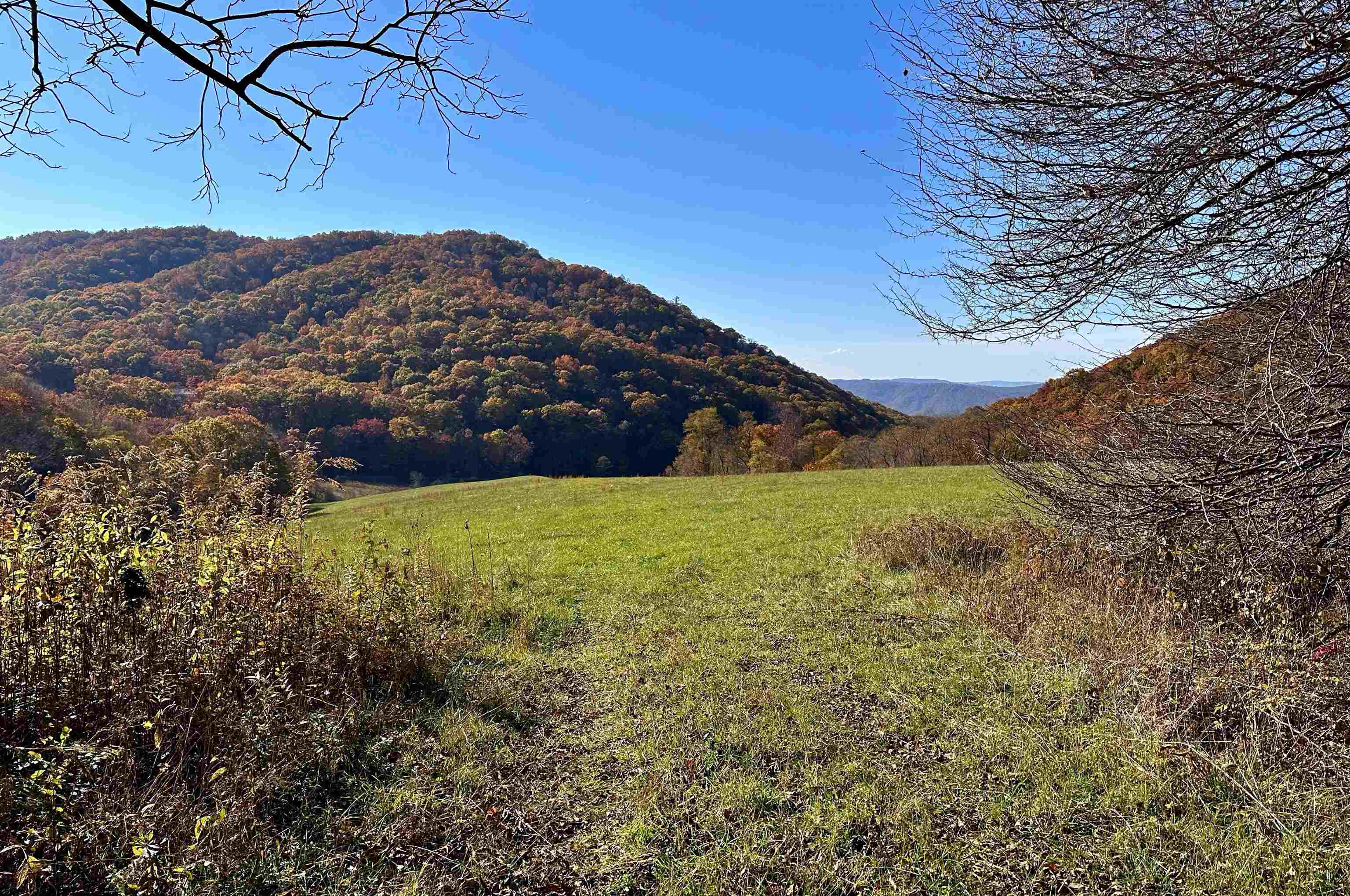 tbd SAM SNEAD HWY, WARM SPRINGS, Virginia 24484, ,Land,tbd SAM SNEAD HWY,671177 MLS # 671177 tbd SAM SNEAD HWY, WARM SPRINGS, Virginia 24484, ,Land,tbd SAM SNEAD HWY,671177 MLS # 671177