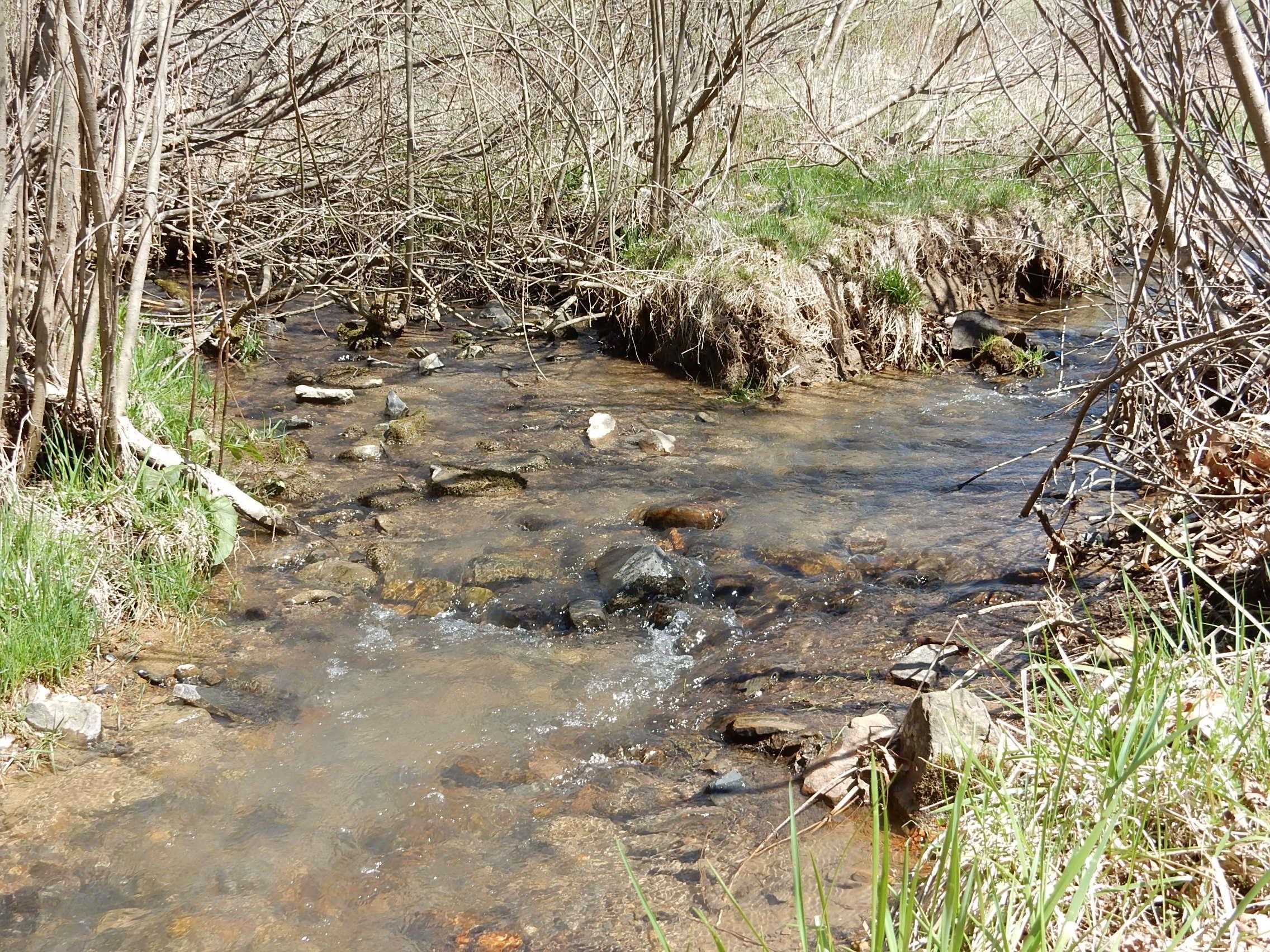 tbd SAM SNEAD HWY, WARM SPRINGS, Virginia 24484, ,Land,tbd SAM SNEAD HWY,671177 MLS # 671177 tbd SAM SNEAD HWY, WARM SPRINGS, Virginia 24484, ,Land,tbd SAM SNEAD HWY,671177 MLS # 671177