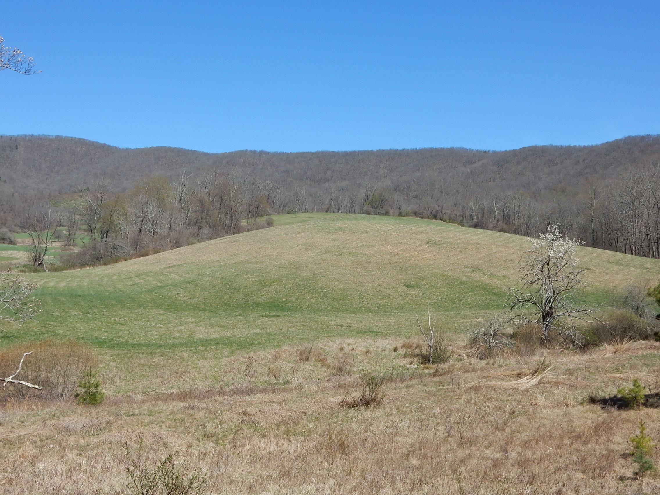 tbd SAM SNEAD HWY, WARM SPRINGS, Virginia 24484, ,Land,tbd SAM SNEAD HWY,671177 MLS # 671177 tbd SAM SNEAD HWY, WARM SPRINGS, Virginia 24484, ,Land,tbd SAM SNEAD HWY,671177 MLS # 671177