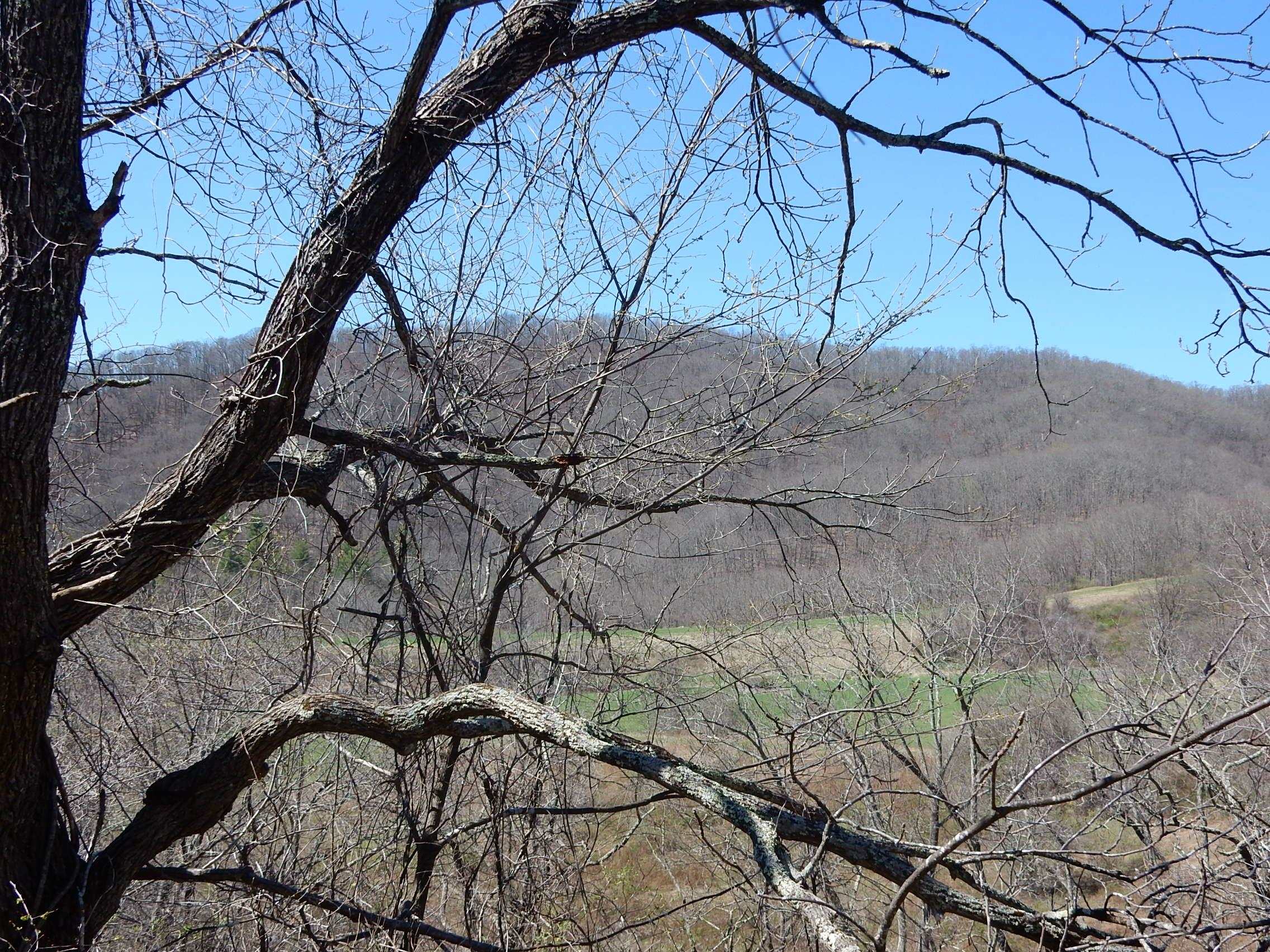 tbd SAM SNEAD HWY, WARM SPRINGS, Virginia 24484, ,Land,tbd SAM SNEAD HWY,671177 MLS # 671177 tbd SAM SNEAD HWY, WARM SPRINGS, Virginia 24484, ,Land,tbd SAM SNEAD HWY,671177 MLS # 671177