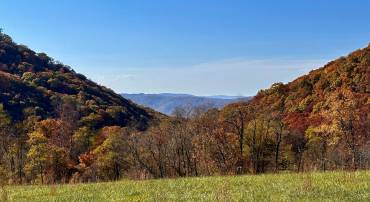 tbd SAM SNEAD HWY, WARM SPRINGS, Virginia 24484, ,Land,tbd SAM SNEAD HWY,671177 MLS # 671177