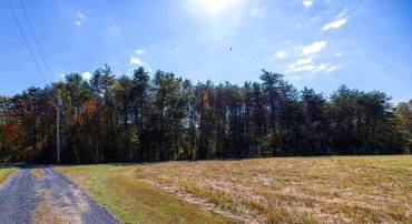 1 & 2 YOUNG RD, RILEYVILLE, Virginia 22650, ,Land,1 & 2 YOUNG RD,671203 MLS # 671203