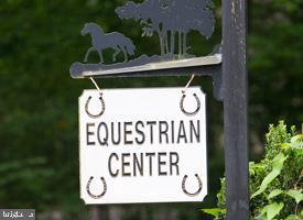 120 EAGLE CT, LOCUST GROVE, Virginia 22508, 4 Bedrooms Bedrooms, ,2 BathroomsBathrooms,Residential,120 EAGLE CT,VAOR2012362 MLS # VAOR2012362