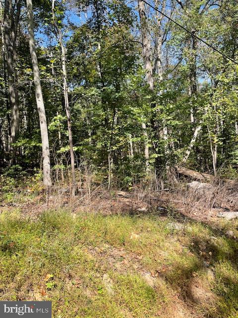0 INCA LOT 209 TRL, WINCHESTER, Virginia 22602, ,Land,For sale,0 INCA LOT 209 TRL,VAFV2037256 MLS # VAFV2037256
