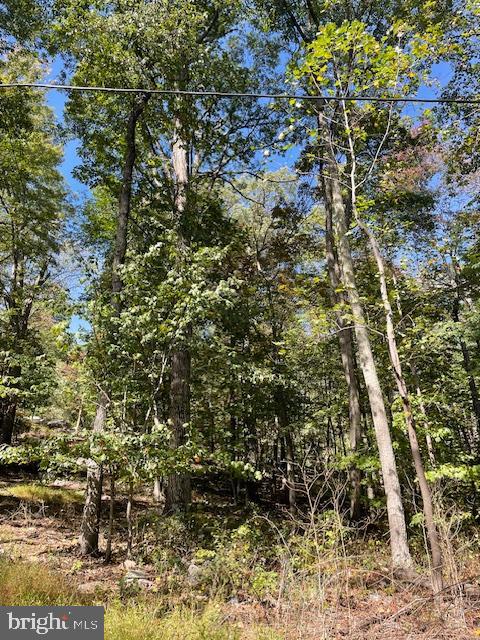0 INCA LOT 209 TRL, WINCHESTER, Virginia 22602, ,Land,For sale,0 INCA LOT 209 TRL,VAFV2037256 MLS # VAFV2037256