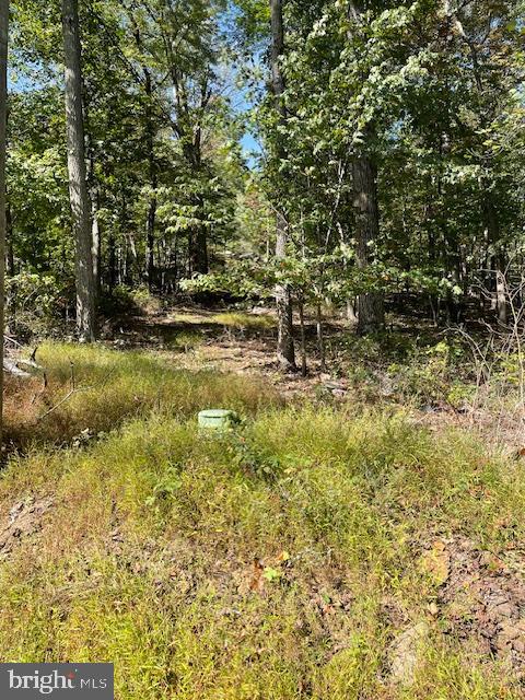 0 INCA LOT 209 TRL, WINCHESTER, Virginia 22602, ,Land,For sale,0 INCA LOT 209 TRL,VAFV2037256 MLS # VAFV2037256