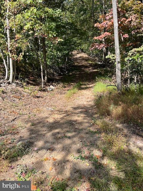 0 INCA LOT 209 TRL, WINCHESTER, Virginia 22602, ,Land,For sale,0 INCA LOT 209 TRL,VAFV2037256 MLS # VAFV2037256