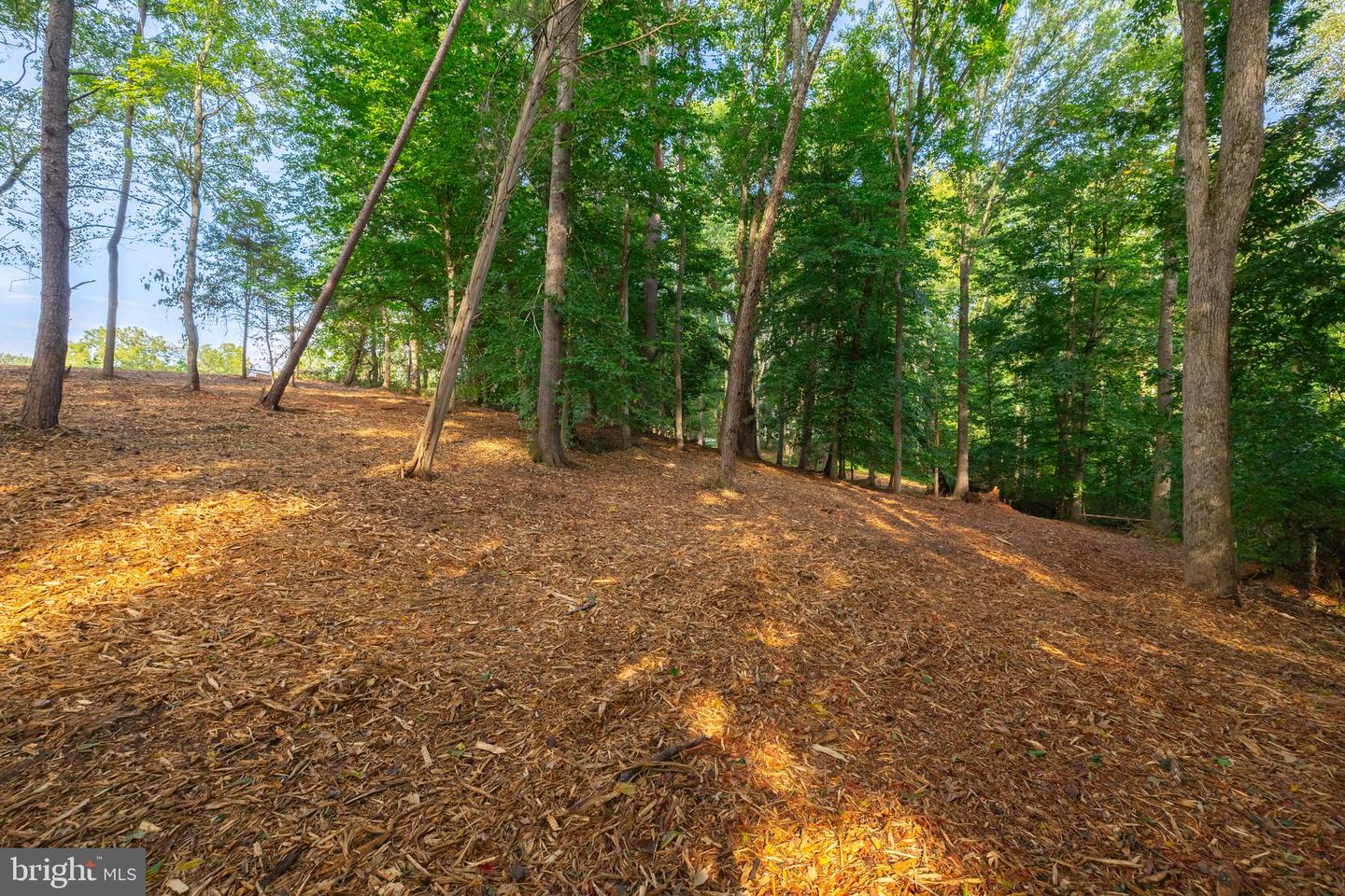 16300 PLEASANT MILL ROAD, MONTPELIER, Virginia 23192, ,Land,For sale,16300 PLEASANT MILL ROAD,VAHA2001106 MLS # VAHA2001106 16300 PLEASANT MILL ROAD, MONTPELIER, Virginia 23192, ,Land,For sale,16300 PLEASANT MILL ROAD,VAHA2001106 MLS # VAHA2001106