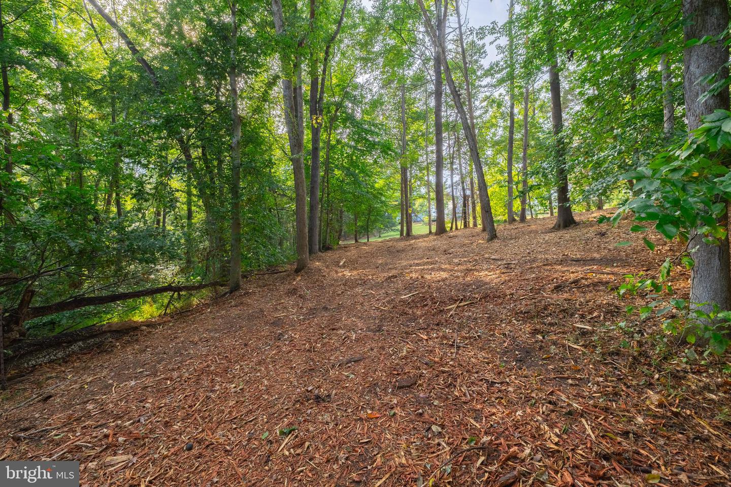 16300 PLEASANT MILL ROAD, MONTPELIER, Virginia 23192, ,Land,For sale,16300 PLEASANT MILL ROAD,VAHA2001106 MLS # VAHA2001106 16300 PLEASANT MILL ROAD, MONTPELIER, Virginia 23192, ,Land,For sale,16300 PLEASANT MILL ROAD,VAHA2001106 MLS # VAHA2001106