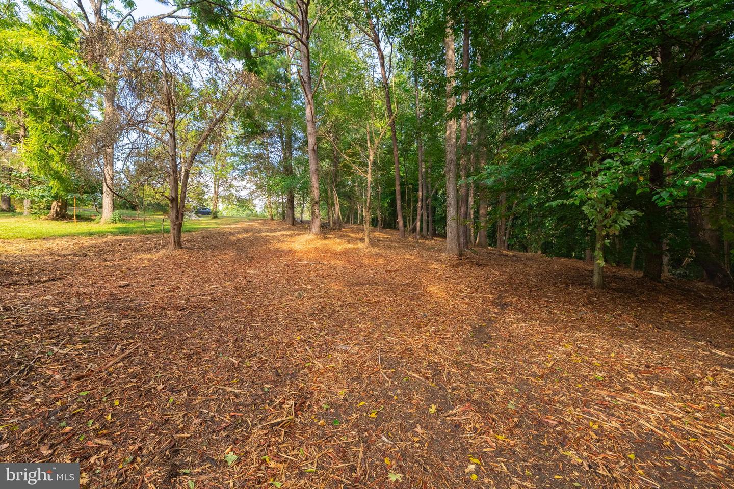 16300 PLEASANT MILL ROAD, MONTPELIER, Virginia 23192, ,Land,For sale,16300 PLEASANT MILL ROAD,VAHA2001106 MLS # VAHA2001106 16300 PLEASANT MILL ROAD, MONTPELIER, Virginia 23192, ,Land,For sale,16300 PLEASANT MILL ROAD,VAHA2001106 MLS # VAHA2001106