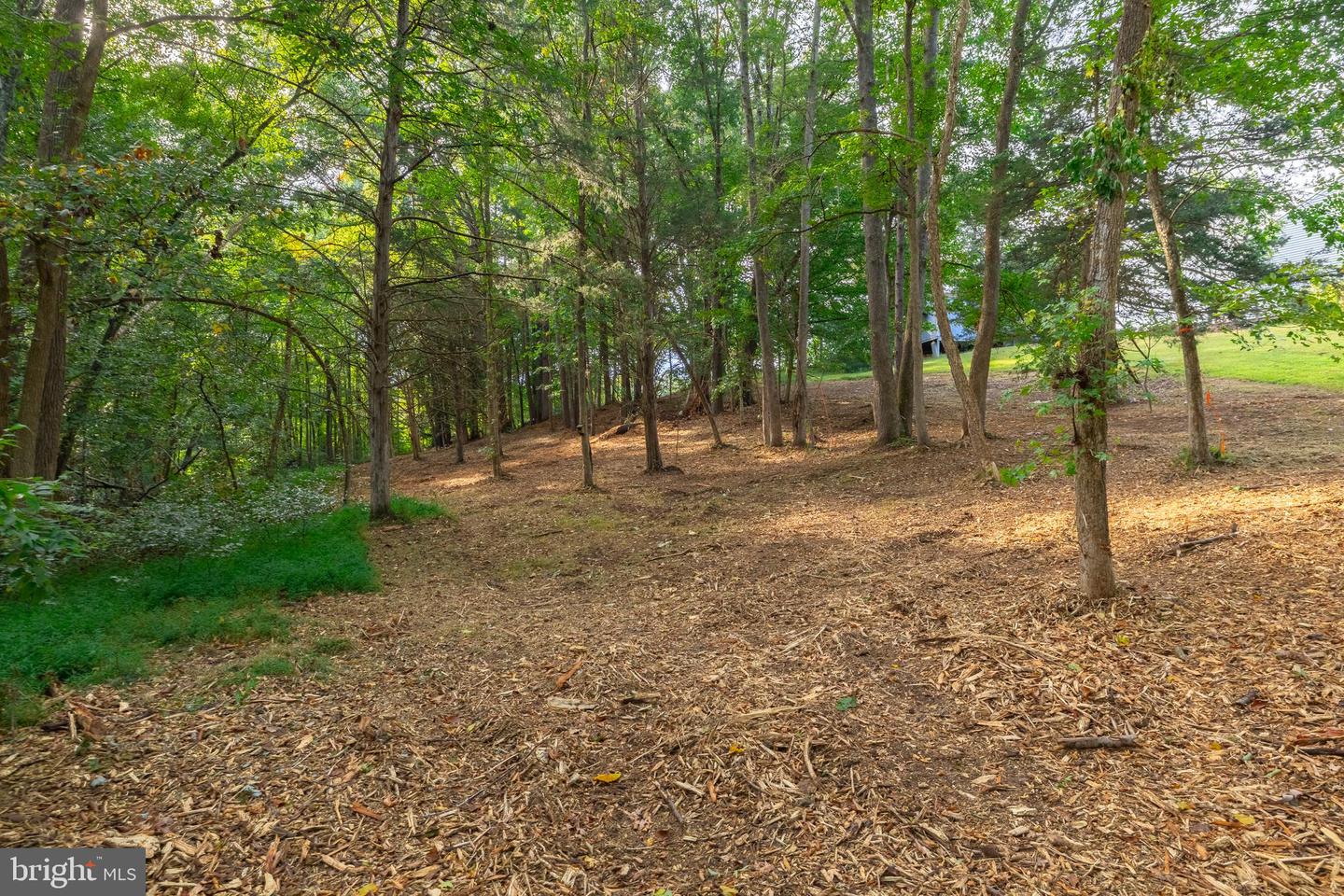 16300 PLEASANT MILL ROAD, MONTPELIER, Virginia 23192, ,Land,For sale,16300 PLEASANT MILL ROAD,VAHA2001106 MLS # VAHA2001106 16300 PLEASANT MILL ROAD, MONTPELIER, Virginia 23192, ,Land,For sale,16300 PLEASANT MILL ROAD,VAHA2001106 MLS # VAHA2001106