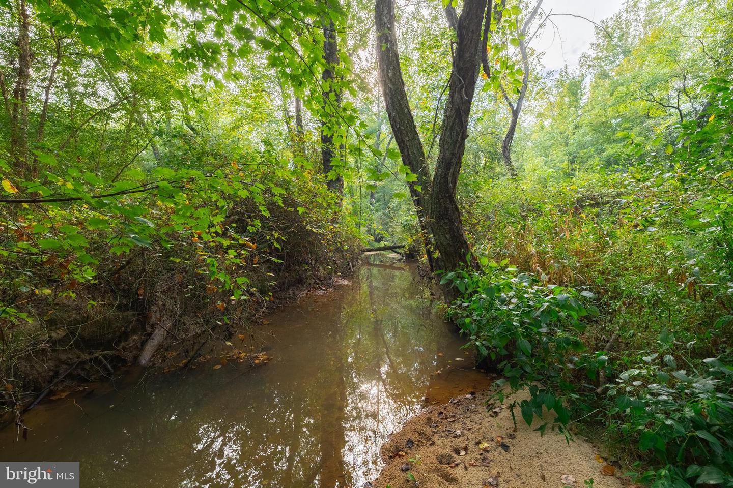 16300 PLEASANT MILL ROAD, MONTPELIER, Virginia 23192, ,Land,For sale,16300 PLEASANT MILL ROAD,VAHA2001106 MLS # VAHA2001106