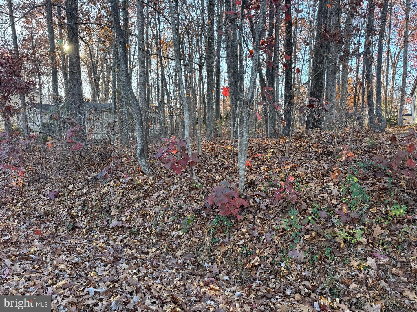 106 MONUMENT RD, LOCUST GROVE, Virginia 22508, ,Land,For sale,106 MONUMENT RD,VAOR2012810 MLS # VAOR2012810