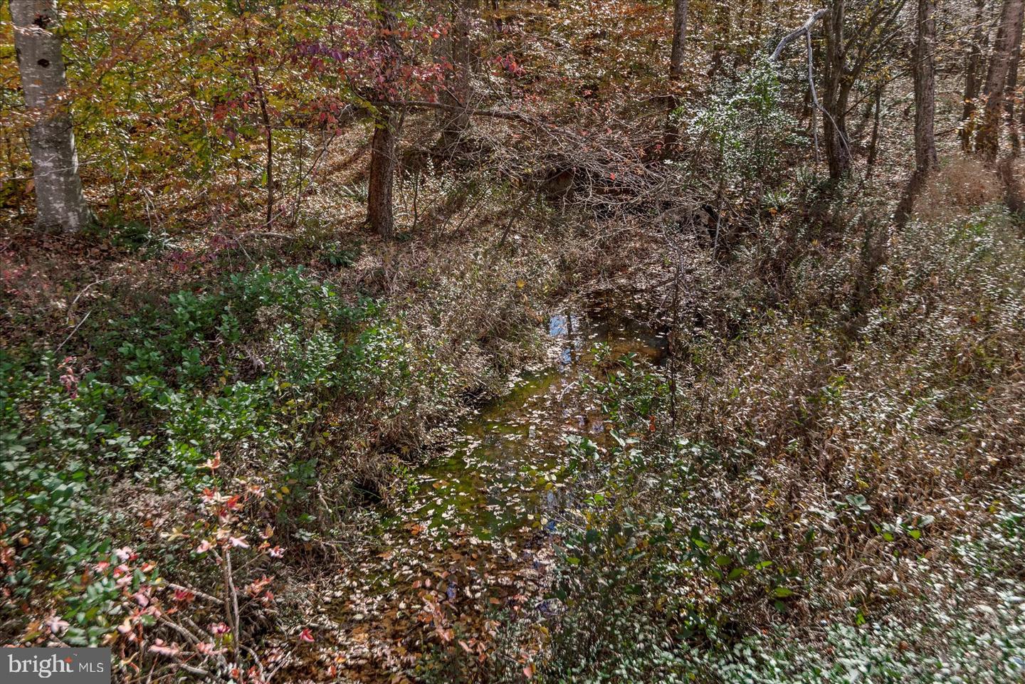 316 COPPER LINE RD, BUMPASS, Virginia 23024, 4 Bedrooms Bedrooms, 9 Rooms Rooms,2 BathroomsBathrooms,Residential,For sale,316 COPPER LINE RD,VALA2008830 MLS # VALA2008830 316 COPPER LINE RD, BUMPASS, Virginia 23024, 4 Bedrooms Bedrooms, 9 Rooms Rooms,2 BathroomsBathrooms,Residential,For sale,316 COPPER LINE RD,VALA2008830 MLS # VALA2008830