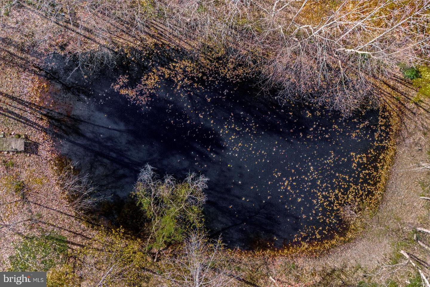 316 COPPER LINE RD, BUMPASS, Virginia 23024, 4 Bedrooms Bedrooms, 9 Rooms Rooms,2 BathroomsBathrooms,Residential,For sale,316 COPPER LINE RD,VALA2008830 MLS # VALA2008830 316 COPPER LINE RD, BUMPASS, Virginia 23024, 4 Bedrooms Bedrooms, 9 Rooms Rooms,2 BathroomsBathrooms,Residential,For sale,316 COPPER LINE RD,VALA2008830 MLS # VALA2008830