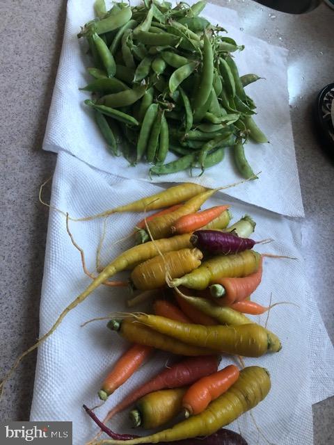 15700 TRAPSHIRE CT, WATERFORD, Virginia 20197, 5 Bedrooms Bedrooms, ,3 BathroomsBathrooms,Residential,For sale,15700 TRAPSHIRE CT,VALO2111108 MLS # VALO2111108 15700 TRAPSHIRE CT, WATERFORD, Virginia 20197, 5 Bedrooms Bedrooms, ,3 BathroomsBathrooms,Residential,For sale,15700 TRAPSHIRE CT,VALO2111108 MLS # VALO2111108