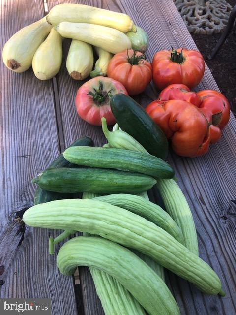 15700 TRAPSHIRE CT, WATERFORD, Virginia 20197, 5 Bedrooms Bedrooms, ,3 BathroomsBathrooms,Residential,For sale,15700 TRAPSHIRE CT,VALO2111108 MLS # VALO2111108 15700 TRAPSHIRE CT, WATERFORD, Virginia 20197, 5 Bedrooms Bedrooms, ,3 BathroomsBathrooms,Residential,For sale,15700 TRAPSHIRE CT,VALO2111108 MLS # VALO2111108