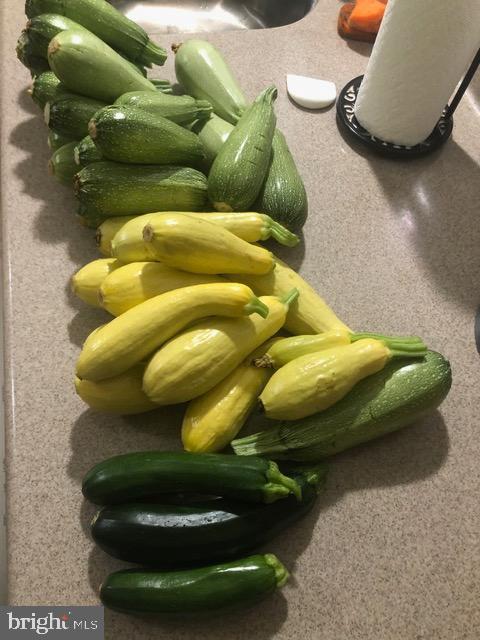 15700 TRAPSHIRE CT, WATERFORD, Virginia 20197, 5 Bedrooms Bedrooms, ,3 BathroomsBathrooms,Residential,For sale,15700 TRAPSHIRE CT,VALO2111108 MLS # VALO2111108 15700 TRAPSHIRE CT, WATERFORD, Virginia 20197, 5 Bedrooms Bedrooms, ,3 BathroomsBathrooms,Residential,For sale,15700 TRAPSHIRE CT,VALO2111108 MLS # VALO2111108