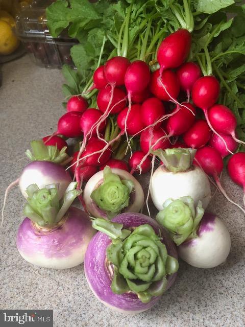 15700 TRAPSHIRE CT, WATERFORD, Virginia 20197, 5 Bedrooms Bedrooms, ,3 BathroomsBathrooms,Residential,For sale,15700 TRAPSHIRE CT,VALO2111108 MLS # VALO2111108 15700 TRAPSHIRE CT, WATERFORD, Virginia 20197, 5 Bedrooms Bedrooms, ,3 BathroomsBathrooms,Residential,For sale,15700 TRAPSHIRE CT,VALO2111108 MLS # VALO2111108